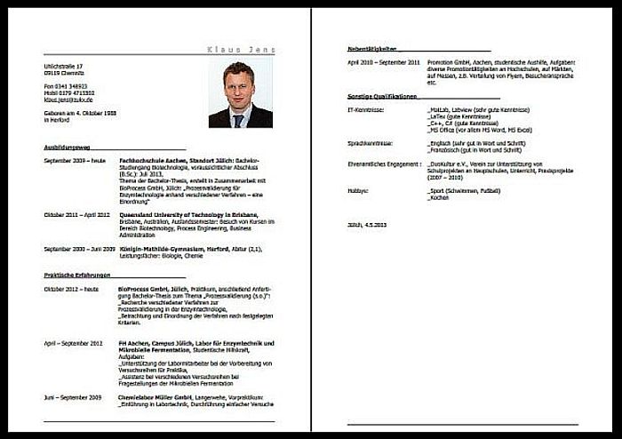 Lebenslauf Ingenieur Beispiel Pdf